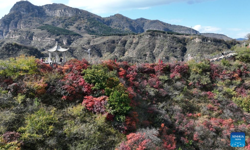 A drone photo taken on Oct. 20, 2026 shows tourists enjoying autumn leaves at Jiulongxia scenic spot in Xingtai City, north China's Hebei Province. (Photo: Xinhua)