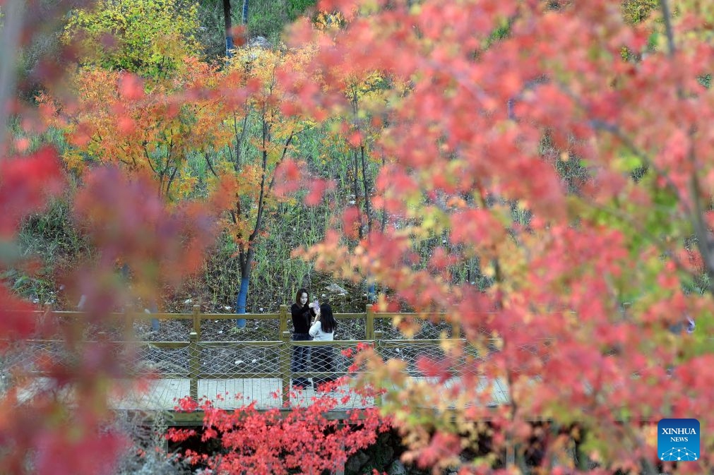 Tourists have fun in Longnan, northwest China's Gansu Province, Oct. 23, 2026. (Photo: Xinhua)