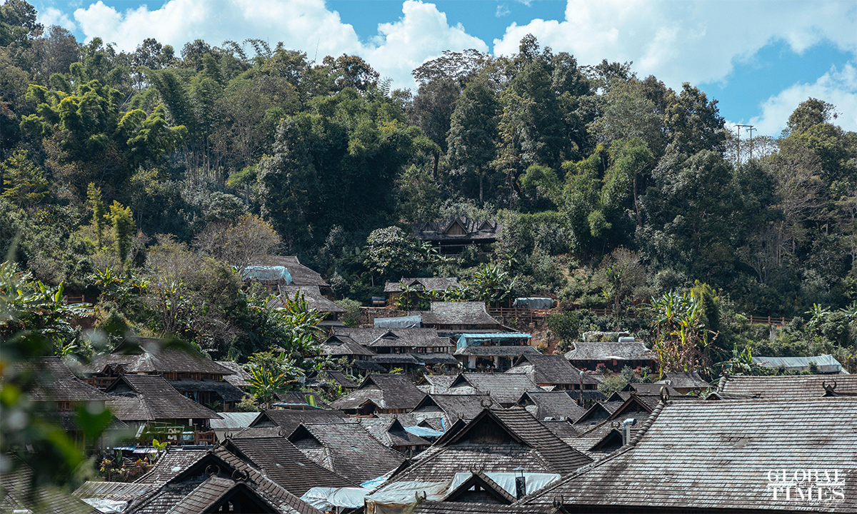 The Cultural Landscape of Old Tea Forests of the Jingmai Mountain in Pu'er covers 28,000 mu of ancient tea forest, with more than 3.2 million old tea trees. In September 2023, the site was inscribed on the UNESCO World Heritage List. It remains vibrant today and exemplifies a harmonious relationship between people and nature, as well as sustainable development. Photo: Li Hao/Global Times