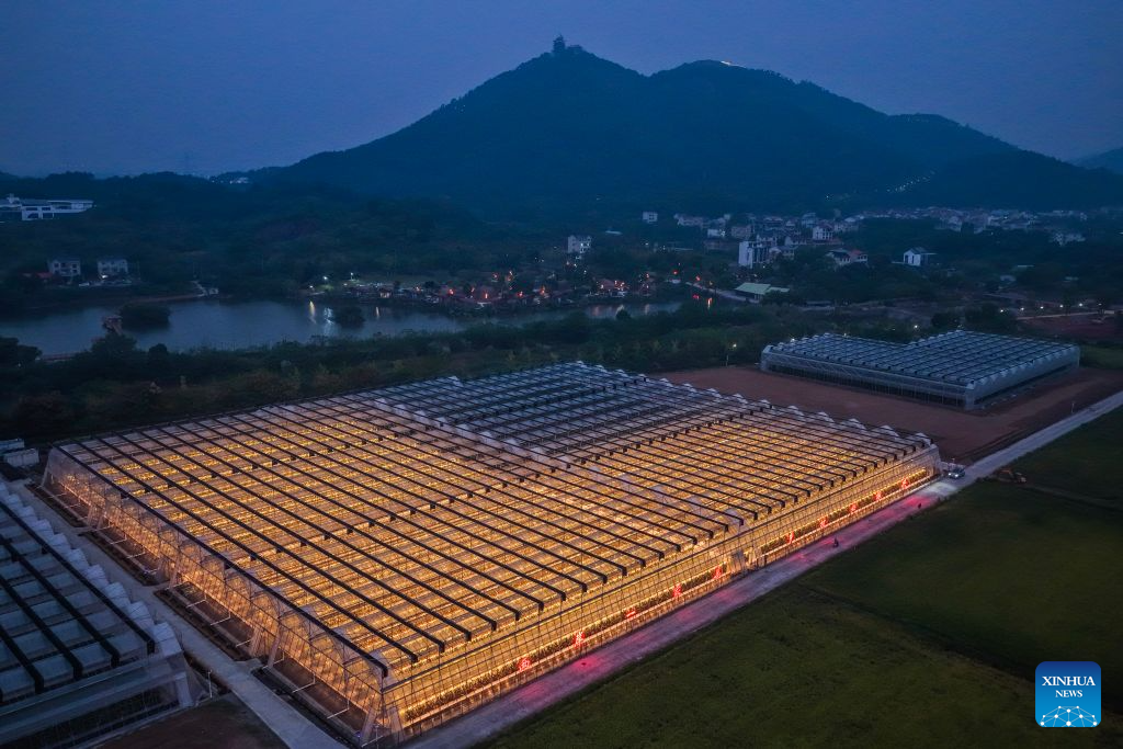 An aerial drone photo taken on Oct. 27, 2026 shows a view of a smart greenhouse at an agricultural science and technology industrial park in Jindong District of Jinhua City, east China's Zhejiang Province. The agricultural science and technology industrial park was established in September 2023 as a designated benchmark project for modern agriculture in Jindong District of Jinhua City.
The park covers an area of 198.2 mu (about 13.2 hectares), including modern agricultural smart greenhouses, outdoor standardized planting areas, as well as supporting facilities such as water sources and parking lots. It aims to create an intelligent agricultural comprehensive industrial park integrating seedling research and development, ecological planting, deep processing, brand sales, tourism, and agricultural technology demonstration.
The park has introduced specialty fruit and vegetable varieties of pineapples, dragon fruits, and blueberries to build a demonstration model for high-end tropical fruit and vegetable planting. It has revitalized the idle land resources in the area, optimized the regional agricultural industrial structure. (Xinhua/Xu Yu)