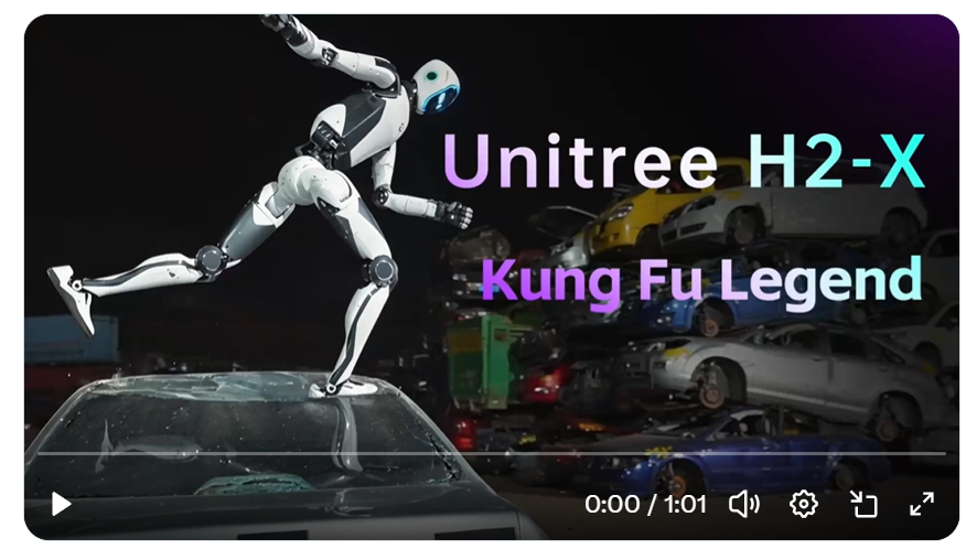 Unitree's H2-X Kung Fu Legend Guardian. Photo: a screenshot of Unitree's demonstration video