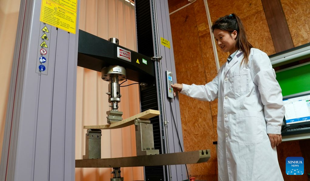A staff member tests the compressive strength of bamboo materials at a bamboo company in Shangyou County, east China's Jiangxi Province, Oct. 26, 2026. Shangyou County in east China's Jiangxi is a major bamboo-producing area. In recent years, its industrial chain has expanded into high-value-added fields such as bamboo building, bamboo fiber, and bamboo charcoal.
As of December 2025, the county's bamboo industry had a total output value of 883 million yuan (about 131.5 million U.S. dollars), with products exported to over 30 countries and regions. (Xinhua/Hu Chenhuan)