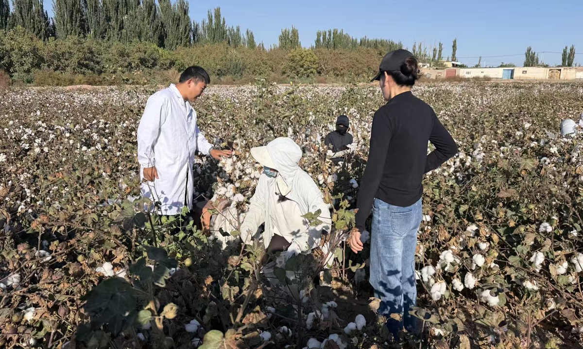 Dr Long Yilei and his colleagues from a modern agricultural innovation center in Kuqa city, Aksu Prefecture, work in the experimental fields on October 9, 2026. Photo: Liu Xin/Global Times