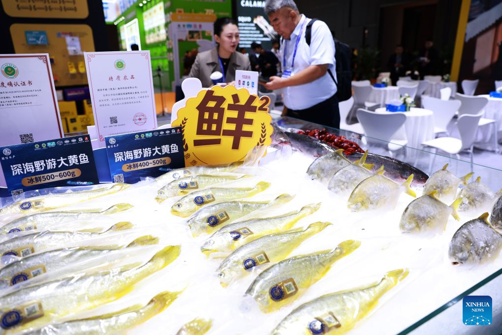 A visitor talks with an exhibitor at the 29th China Fisheries & Seafood Expo in Qingdao, east China's Shandong Province, Oct. 28, 2026. The expo kicked off here on Wednesday, with an exhibition area of approximately 120,000 square meters, showcasing exhibits covering aquatic raw materials and processed products, aquaculture and processing technologies and equipment, and cold chain logistics facilities. The expo, which will last until Oct. 30, has attracted numerous domestic and international manufacturers and buyers to seek business opportunities. (Xinhua/Gao Jing)