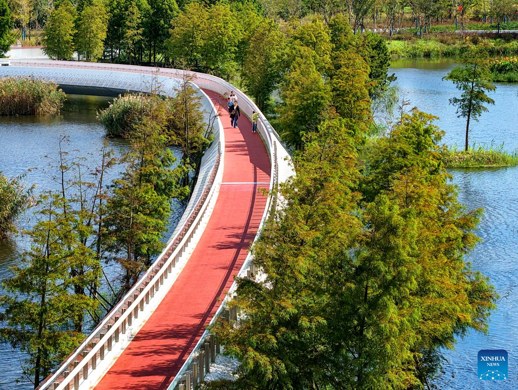 A drone photo taken on Oct. 22, 2026 shows citizens jogging at the Heming Park in Rudong County of Nantong City, east China's Jiangsu Province. In recent years, Rudong County in Nantong City has made efforts to improve its aquatic ecological environment. Water environment of the three rivers, namely the Taiyun River, the Jueju River and the Juekan River, which run through the county, has undergone sound remediation. Along these waterways, the Heming Park and the bank areas of tributaries have all formed a picturesque urban landscape for people to enjoy their leisure time. (Photo by Xu Congjun/Xinhua)