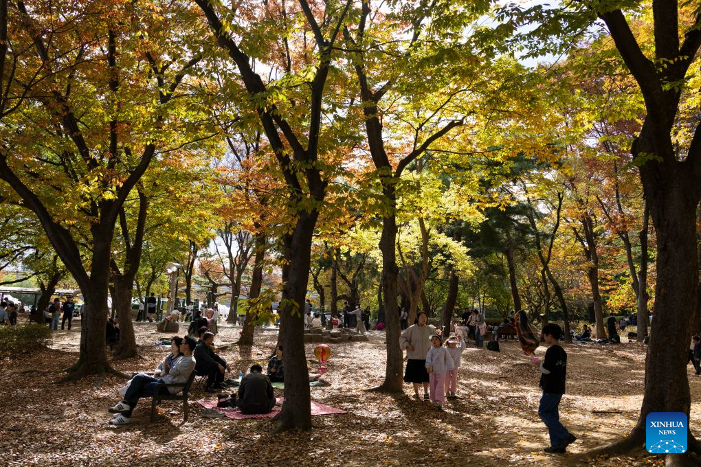 People enjoy themselves at the Olympic Park in Seoul, South Korea, Oct. 25, 2026. (Photo by Jun Hyosang/Xinhua)