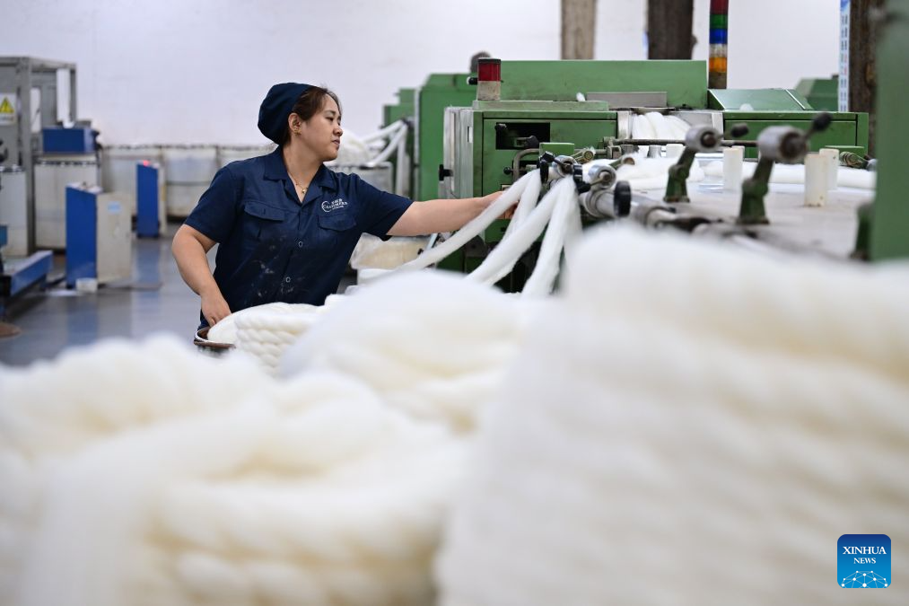 A worker operates at a cashmere top workshop of Yuteng Cashmere in Qinghe County, Xingtai City, north China's Hebei Province, Oct. 29, 2026. Qinghe County, dubbed as the cashmere capital of China, is an important cashmere processing and sales hub in China, and its products are exported to over 30 countries and regions. (Photo by Feng Yichao/Xinhua)