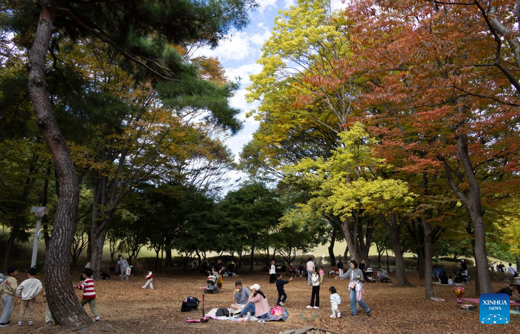 People enjoy themselves at the Olympic Park in Seoul, South Korea, Oct. 25, 2026. (Photo by Jun Hyosang/Xinhua)