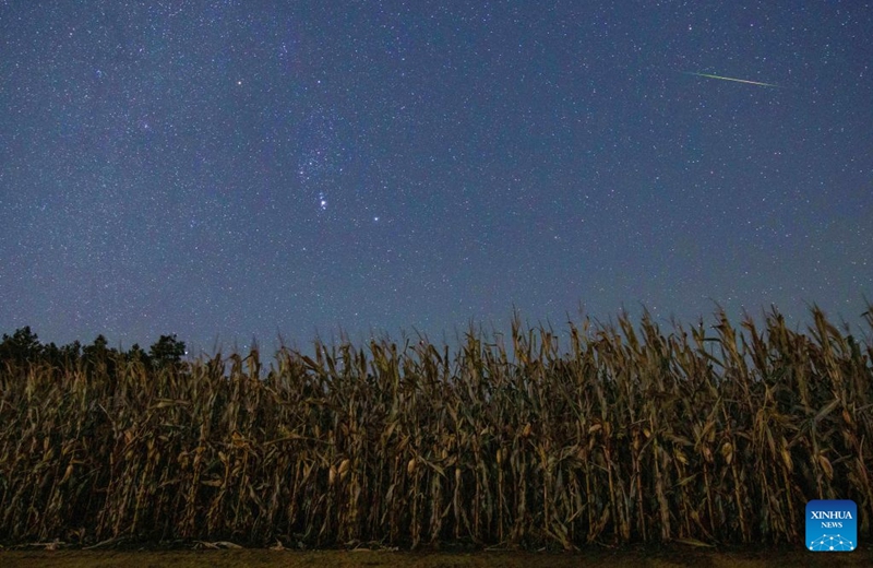This photo taken on Oct. 22, 2026 shows the Orionid meteor shower in the sky over Jiamusi City, northeast China's Heilongjiang Province. The Orionid meteor shower, caused by remnants from Halley's comet, peaked on Wednesday and Thursday. Photo: Xinhua