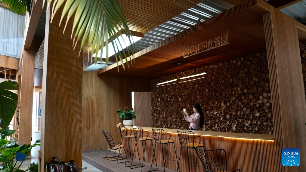 A customer visits a bamboo bar counter at a bamboo company in Shangyou County, east China's Jiangxi Province, Oct. 26, 2026. Shangyou County in east China's Jiangxi is a major bamboo-producing area. In recent years, its industrial chain has expanded into high-value-added fields such as bamboo building, bamboo fiber, and bamboo charcoal.
As of December 2025, the county's bamboo industry had a total output value of 883 million yuan (about 131.5 million U.S. dollars), with products exported to over 30 countries and regions. (Xinhua/Hu Chenhuan)