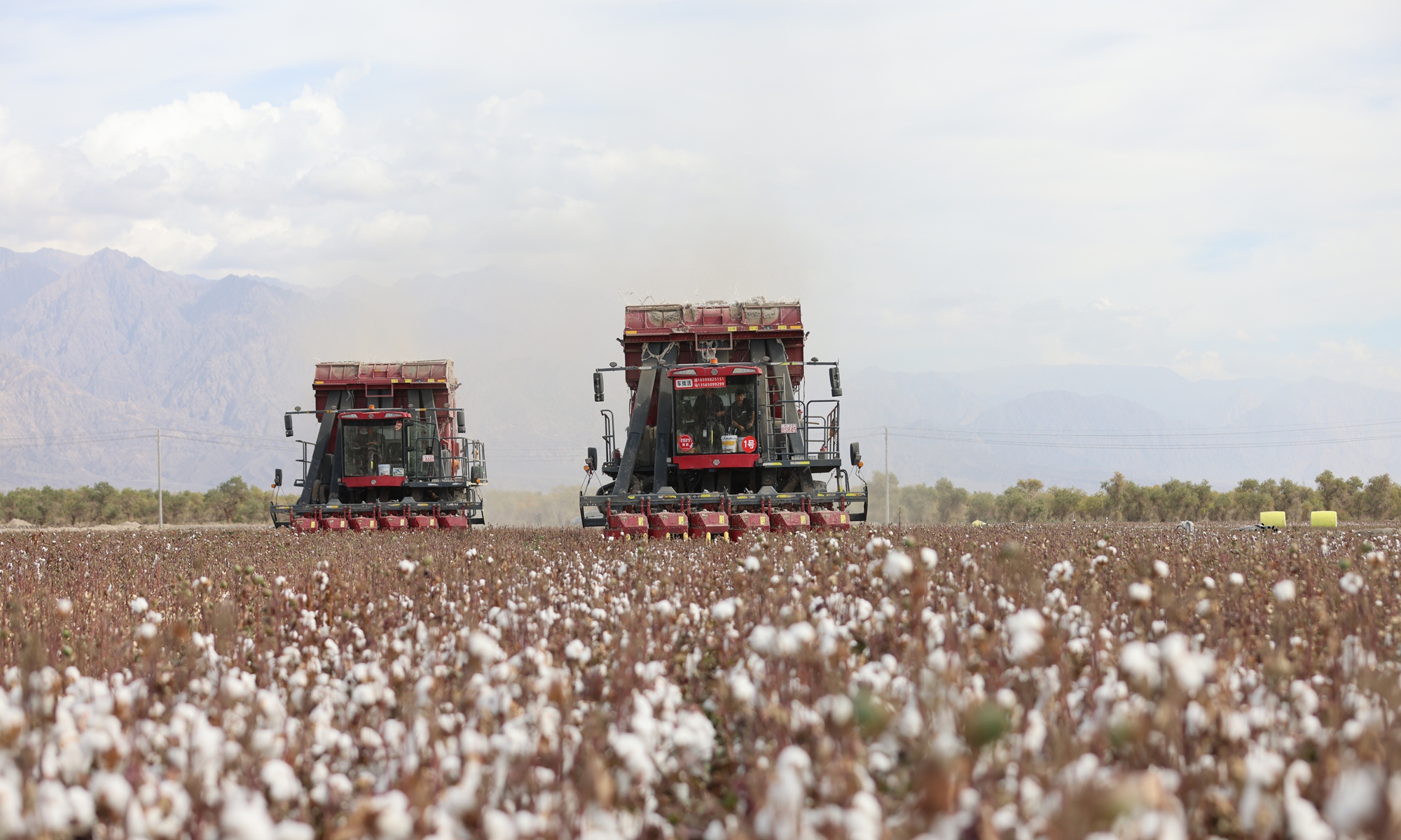 Large cotton harvesters move through a cotton field in Yeyungou village, Luntai county, Northwest China's Xinjiang Uygur Autonomous Region, on October 10, 2026. Photo: Courtesy of Tursun Osman