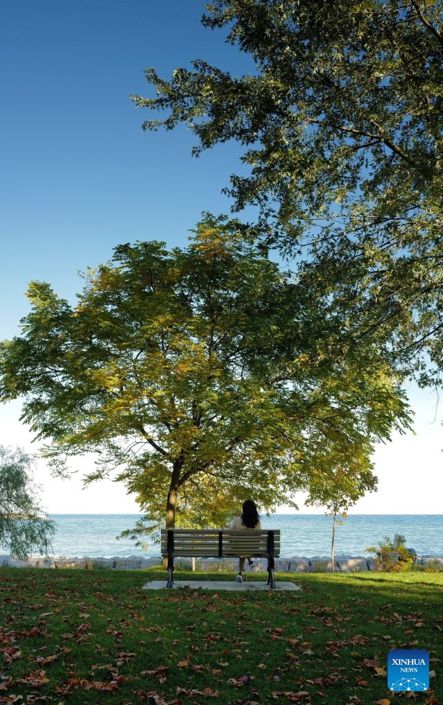 This photo taken on Oct. 23, 2026 shows an autumn scenery at a park in Ontario, Canada. Autumn is in full swing across the Greater Toronto Area in Ontario, Canada. (Photo by Yang Shu/Xinhua)
