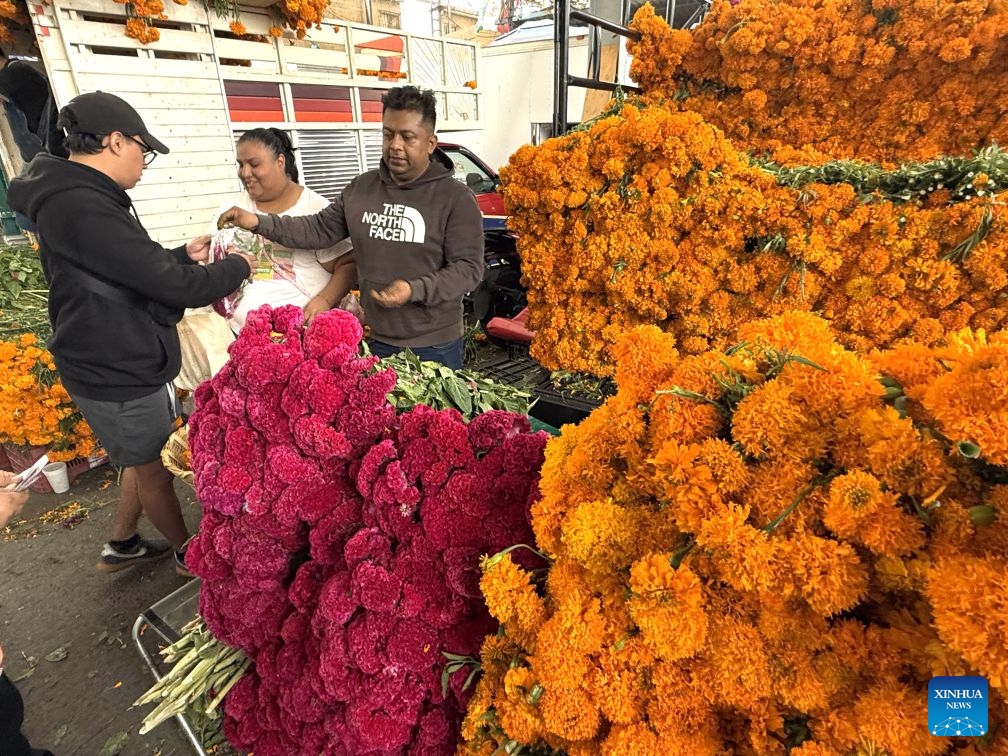 This photo taken with a mobile phone shows vendors selling flowers ahead of the traditional Day of the Dead celebrations at a market in Mexico City, Mexico, Oct. 24, 2026. (Xinhua/Wu Wei)