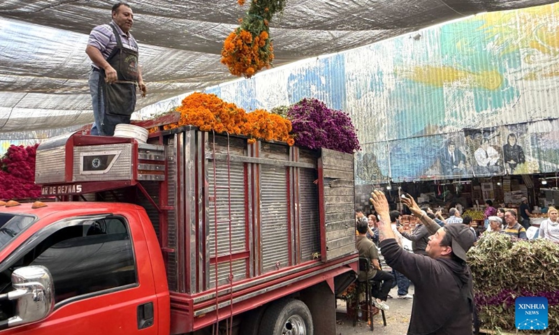 This photo taken with a mobile phone shows vendors unloading flowers from a truck ahead of the traditional Day of the Dead celebrations at a market in Mexico City, Mexico, Oct. 24, 2026. (Xinhua/Wu Wei)