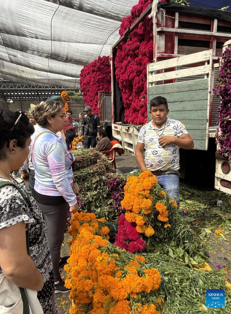 This photo taken with a mobile phone shows vendors selling flowers ahead of the traditional Day of the Dead celebrations at a market in Mexico City, Mexico, Oct. 24, 2026. (Xinhua/Wu Wei)