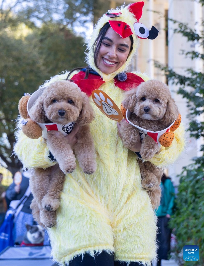 Two dogs and their owner take part in Howl'oween at the Bentway, a dog-and-owner costume contest, in Toronto, Canada, on Oct. 24, 2026. The annual event was held here on Saturday, bringing Halloween fun for dogs and their owners. (Photo by Zou Zheng/Xinhua)