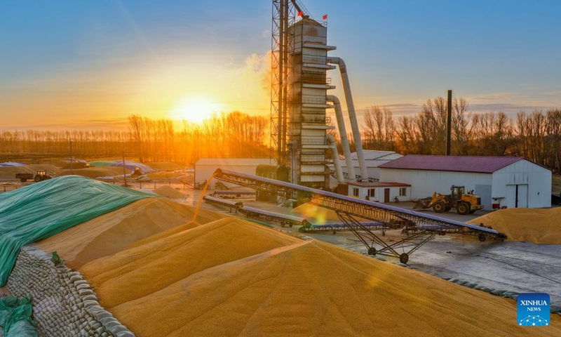 A drone photo taken on Oct. 25, 2026 shows grains being processed by a drying machine at a a drying yard of a farm under Beidahuang Group in northeast China's Heilongjiang Province. With the autumn harvest drawing to an end in Heilongjiang, China's top grain-producing province, all grain-growing areas in the province are stepping up post-harvest management to ensure safe grain storage and procurement. (Photo by Xu Hongyu/Xinhua)