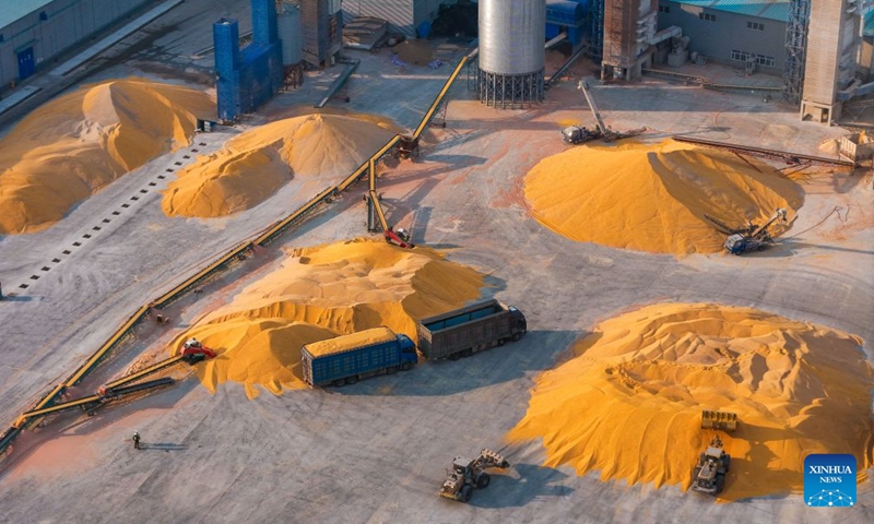 A drone photo taken on Oct. 24, 2026 shows corn being dried at a grain procurement and storage company in Fujin City, northeast China's Heilongjiang Province. With the autumn harvest drawing to an end in Heilongjiang, China's top grain-producing province, all grain-growing areas in the province are stepping up post-harvest management to ensure safe grain storage and procurement. (Photo by Qu Yubao/Xinhua)