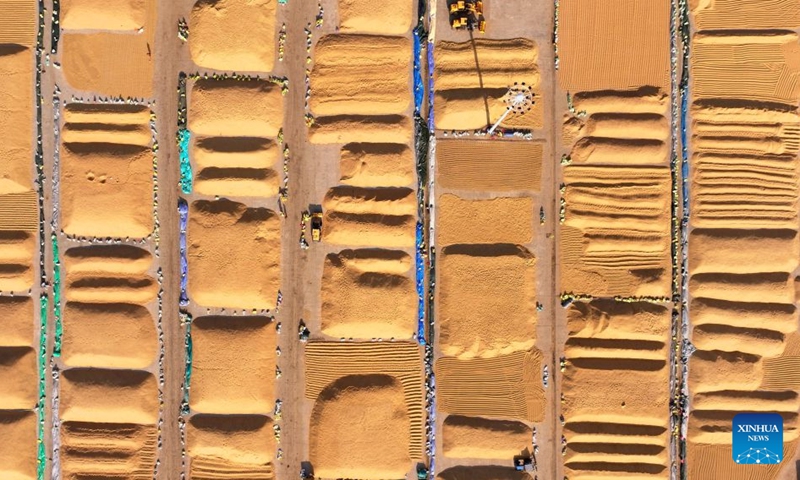 An aerial drone photo taken on Oct. 24, 2026 shows a grain drying yard of a branch company under Beidahuang Group in northeast China's Heilongjiang Province. With the autumn harvest drawing to an end in Heilongjiang, China's top grain-producing province, all grain-growing areas in the province are stepping up post-harvest management to ensure safe grain storage and procurement. (Photo by Wang Jinbin/Xinhua)
