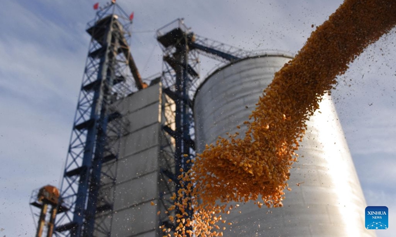 This photo taken on Oct. 21, 2026 shows corn being transferred into a drying tower at the grain processing center of a farm under Beidahuang Group in northeast China's Heilongjiang Province. With the autumn harvest drawing to an end in Heilongjiang, China's top grain-producing province, all grain-growing areas in the province are stepping up post-harvest management to ensure safe grain storage and procurement. (Photo by Li Xing/Xinhua)