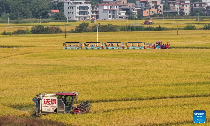 A drone photo taken on Oct. 30, 2026 show tourists taking a sightseeing train to enjoy rural scenery in Quanjiang Village of Xingye County, Yulin City, south China's Guangxi Zhuang Autonomous Region. Since the beginning of this year, Xingye County has been implementing a six improvements program in villages, focusing on the practical improvements in manufacturing, agricultural industry, green space, road access, water facilities, and streetlights. These measures are creating fresh momentum for rural revitalization. (Xinhua/Cao Yiming)

