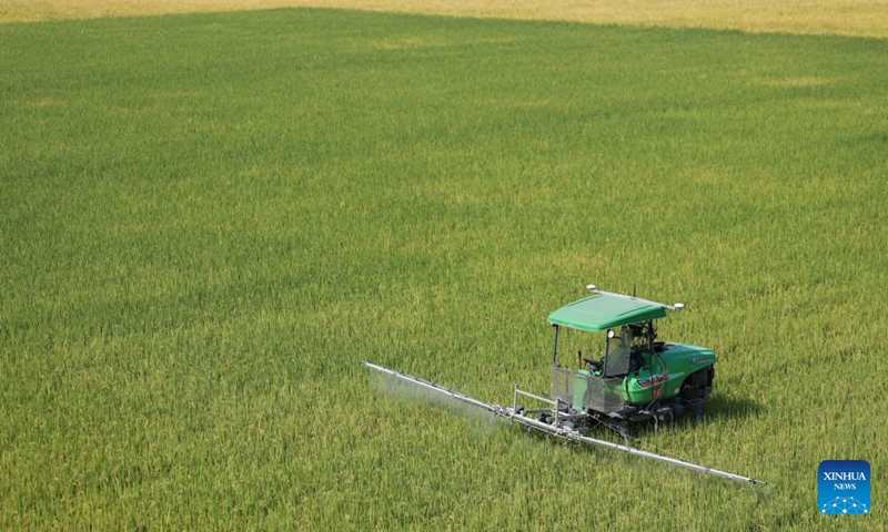 An unmanned spraying machine works in fields on an intelligent farm in Liucheng Town of Dongyuan County, south China's Guangdong Province, Oct. 30, 2026.
A group of unmanned agricultural machinery developed by a Chinese research team from the country's South China Agricultural University conducted live field demonstrations here on Friday, showcasing a new model for modern smart agriculture. (Xinhua/Deng Hua)