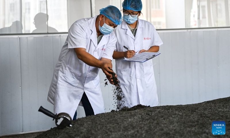 Technicians check the fermentation of dark tea at a tea company in Pengtang Village of Xingye County, Yulin City, south China's Guangxi Zhuang Autonomous Region, Oct. 30, 2026. Since the beginning of this year, Xingye County has been implementing a six improvements program in villages, focusing on the practical improvements in manufacturing, agricultural industry, green space, road access, water facilities, and streetlights. These measures are creating fresh momentum for rural revitalization. (Xinhua/Cao Yiming)

