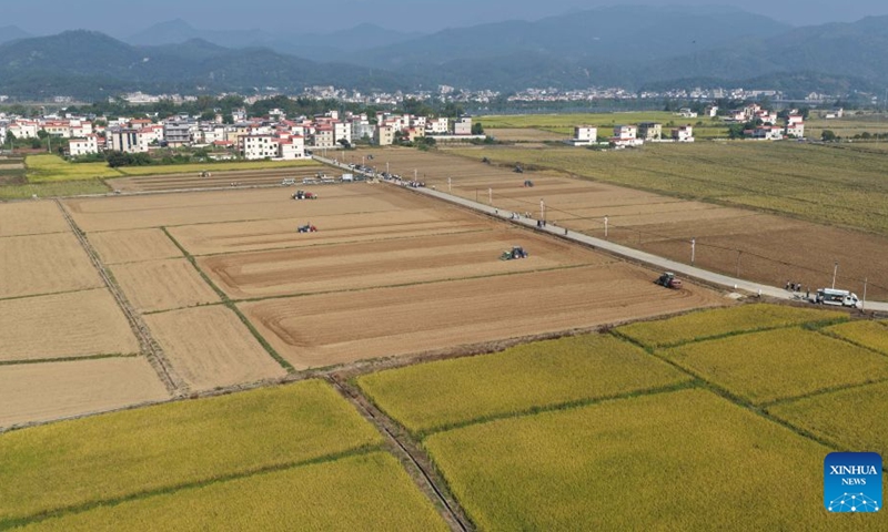 A drone photo taken on Oct. 30, 2026 shows unmanned agricultural machines plowing the field along preset routes on an intelligent farm in Liucheng Town of Dongyuan County, south China's Guangdong Province.
A group of unmanned agricultural machinery developed by a Chinese research team from the country's South China Agricultural University conducted live field demonstrations here on Friday, showcasing a new model for modern smart agriculture. (Xinhua/Deng Hua)