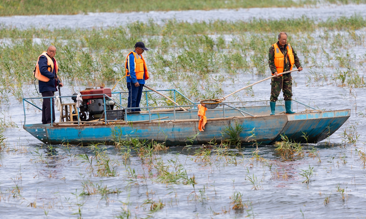Three staff members take a boat out on Daihai Lake in Ulanqab, Inner Mongolia, on August 26, 2026. Photo: VCG