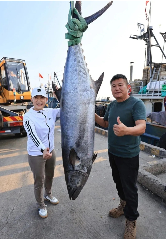 A fishing boat returning from waters off Taoluo Town in Donggang District, Rizhao, East China's Shandong Province, arrives at the port on Sunday with a rare giant Spanish mackerel weighing 134 kilograms, drawing a crowd at the fishing port, according to the Dazhong Daily, a local media outlet in Shandong.