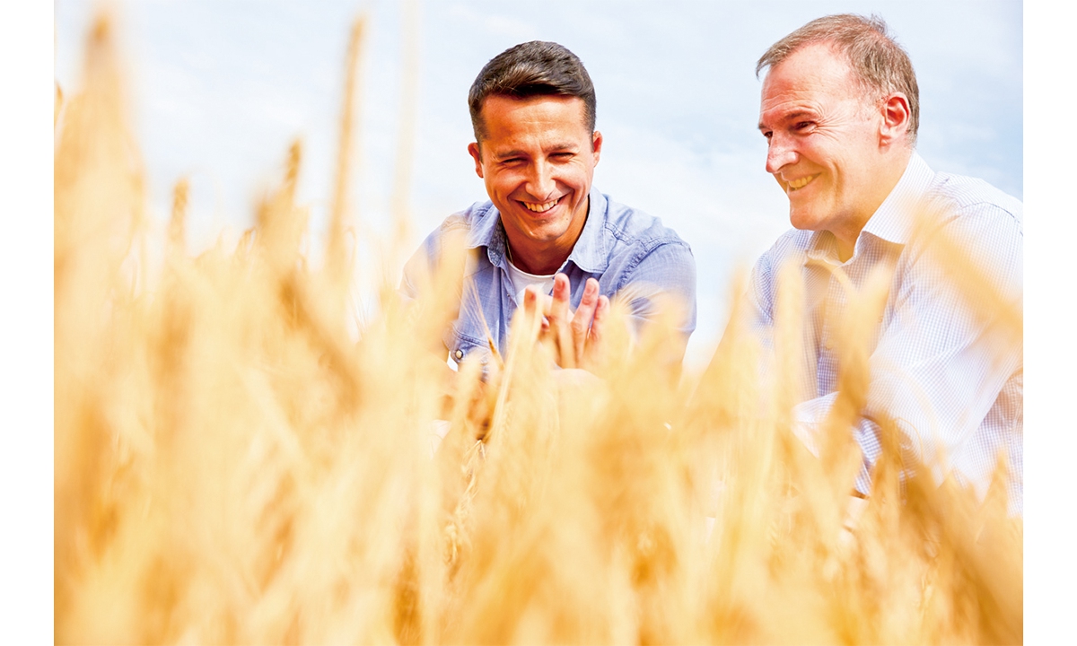 Two men check barley. Photos on this page: Courtesy of Syngenta Group