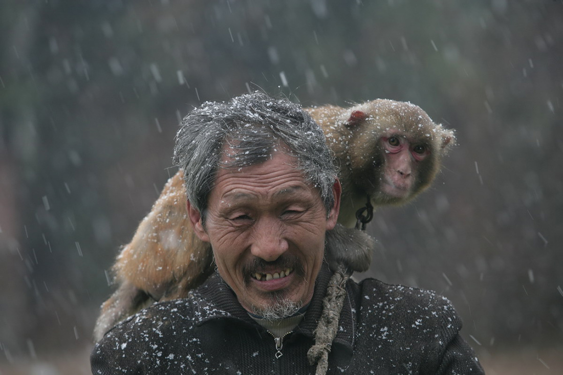 Life Of The Monkey Buskers