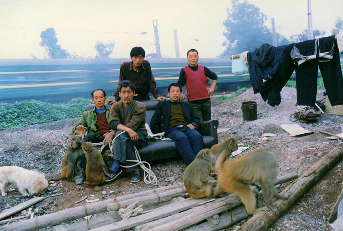 Life Of The Monkey Buskers